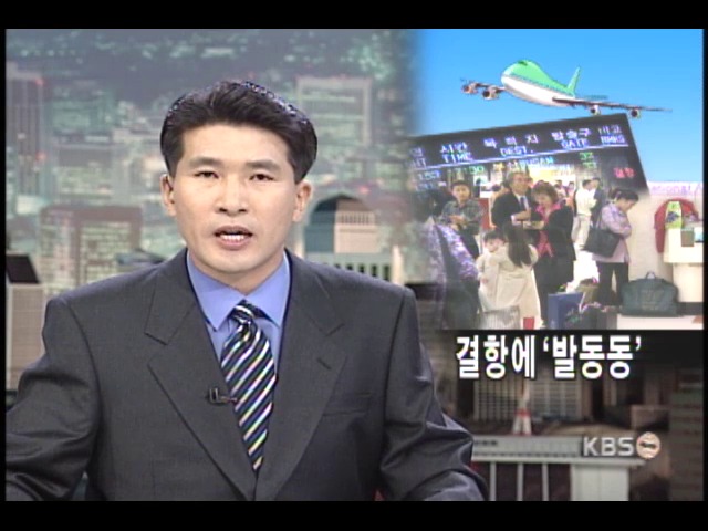 결항에 발동동 