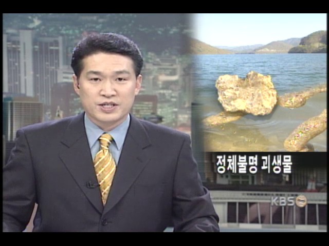 북한강에 정체불명 괴생물체 