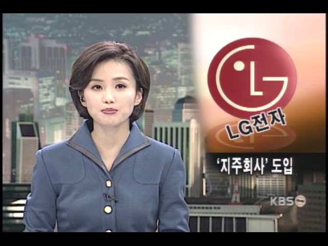 LG전자, 지주회사 제도 도입 