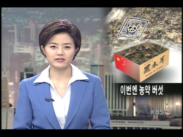 중국 버섯상자에 맹독 농약 