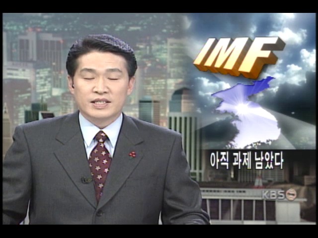 IMF조기졸업, 한국 저력 살아있다 