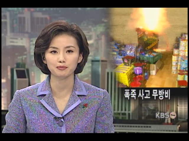 폭죽 꽃불 3만 발 불법 보관 