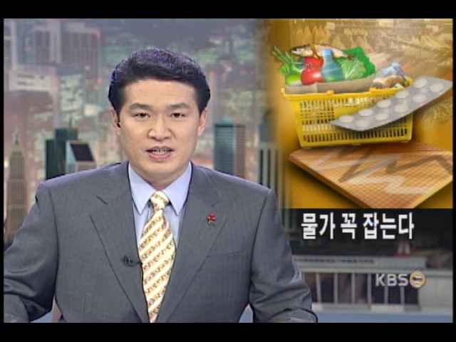 보험약가.이동전화료 내린다 