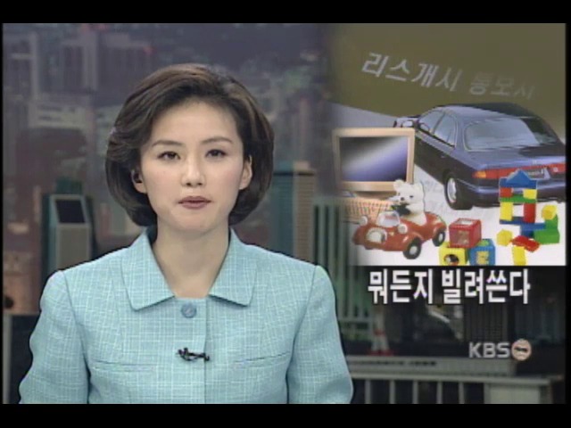 임대시장, 장난감서 자동차까지 확대 
