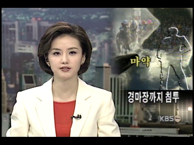 경마장 관중에게도 마약 파고든다 