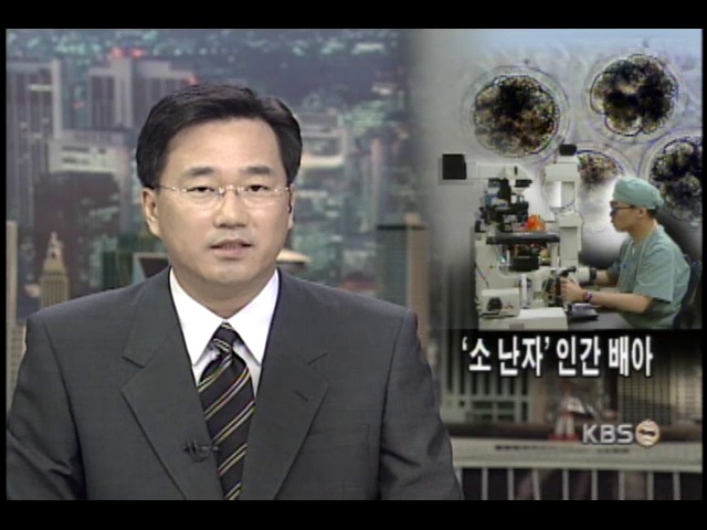 소 난자 이용 인간배아 복제 논란 