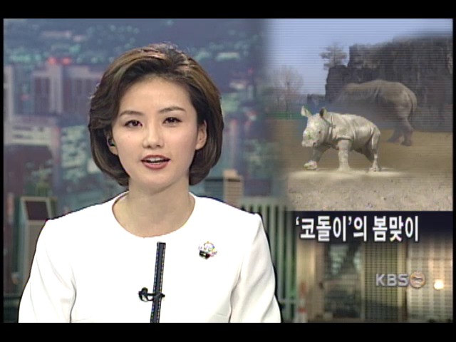 코돌이의 봄맞이 