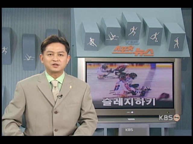 슬레지하키, 인기 몰이 