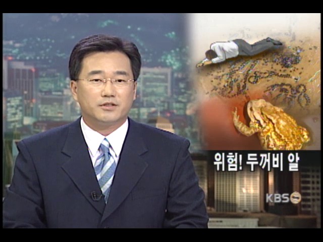 두꺼비알 먹은 40대 남자 사망 