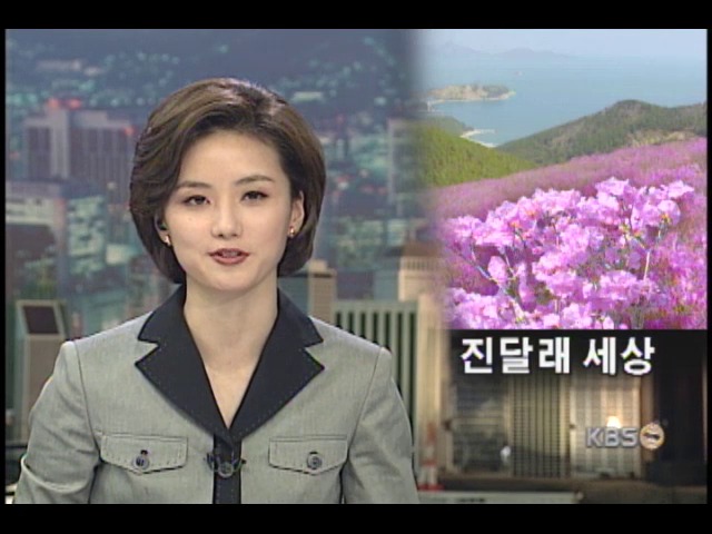 남해안, 붉은 진달래 쪽빛 바다 별천지 