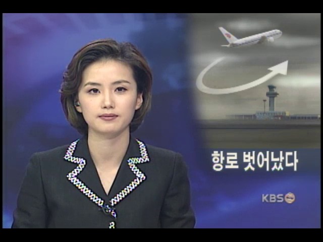 사고 원인, 항로 벗어난 듯 