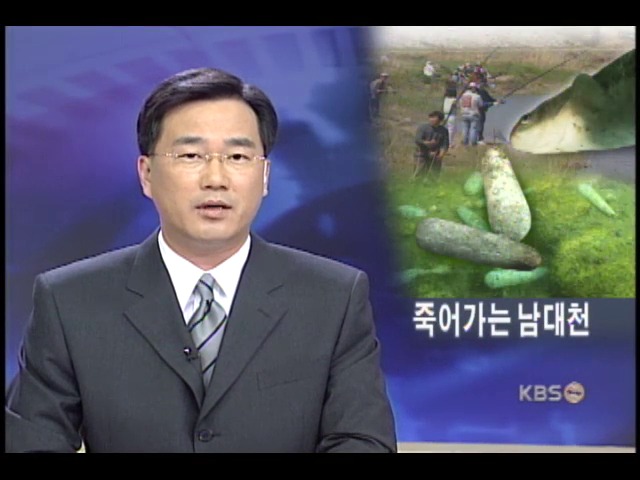 연어고향 남대천 납으로 오염 