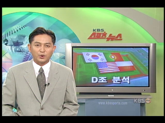 D조 분석 
