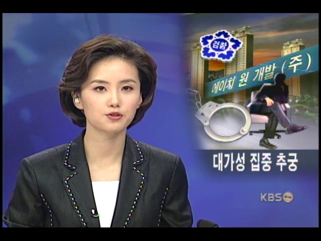 편법분양 주도, H-1 홍 회장에 긴급체포 