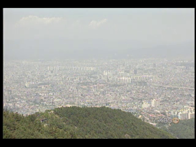 대구.경북, 한나라당 후보 독주 예상 