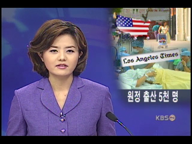 미국 원정 출산 한해 5000명 