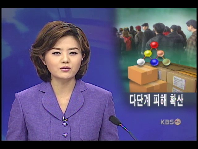 다단계 급성장, 피해도 급증 
