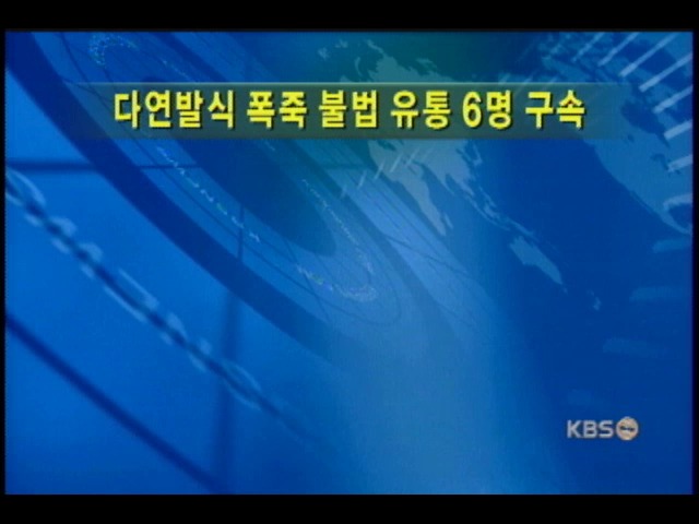 폭죽 불법유통 이 모씨등 구속 기소 
