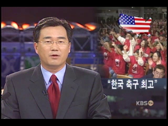 해외동포들 '한국 축구 만세' 