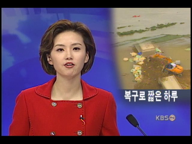 물빠진 수해지구 본격 복구 