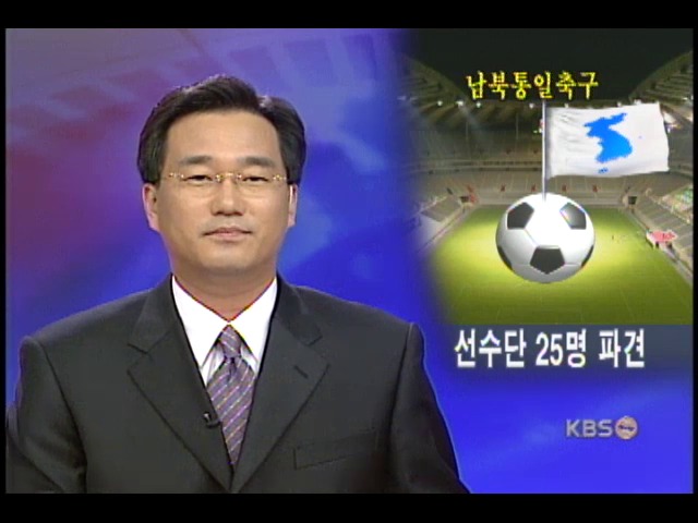 다음달 7일 남북 통일축구, 단일기 게양 