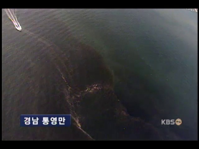 적조 피해 갈수록 확산 