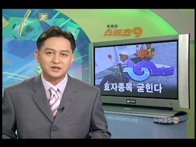 요트 '효자종목 굳힌다' 