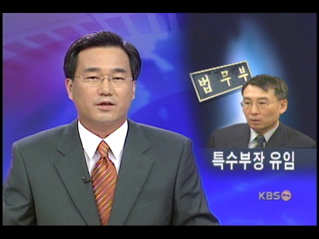 병풍유도설 박영관 특수1부장 유임 