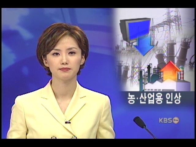 전기요금 주택용 인하, 산업 농사용 인상 