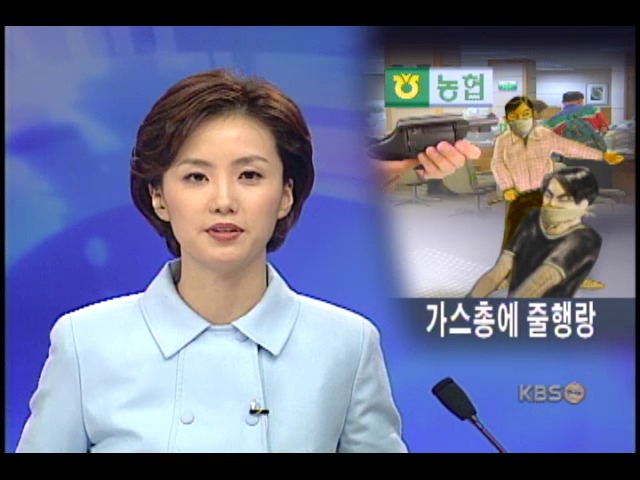농협 2인조 강도 가스총 쏘자 줄행랑 