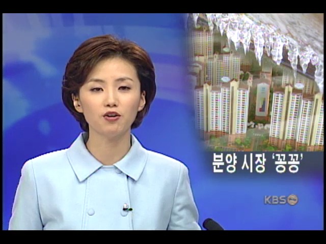 아파트 분양시장 급랭, 기존시장 관망 