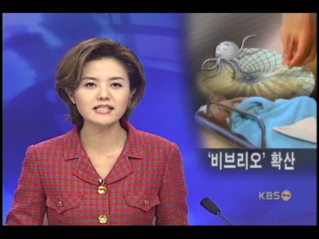 비브리오 패혈증 아직 위험 