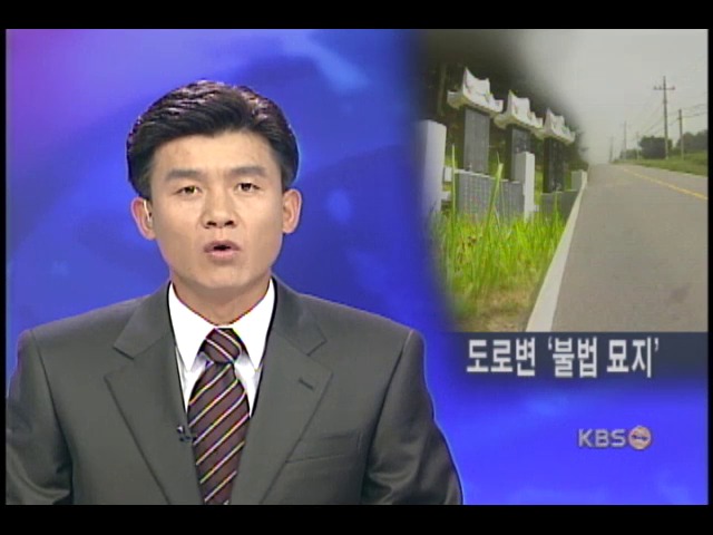 명당 도로변 불법묘지 난립 