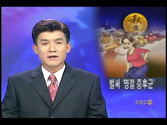 벌써부터 명절증후군에 시달리는 주부들 