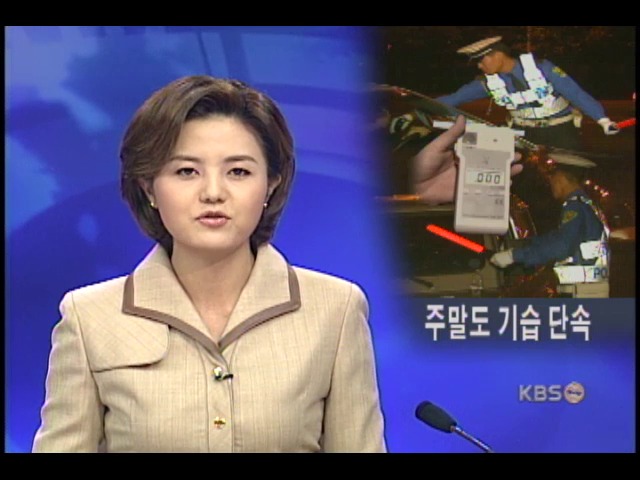 주말 밤에도 음주 운전 극성 