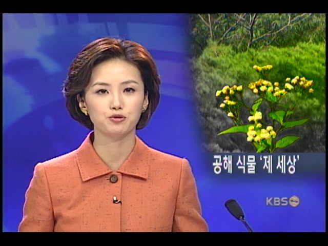 공해 식물 확산, 토종 생태계 파괴 