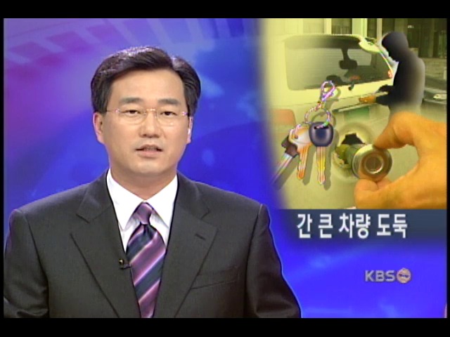 훔친 차량, 컨테이너에 실어 직반출 