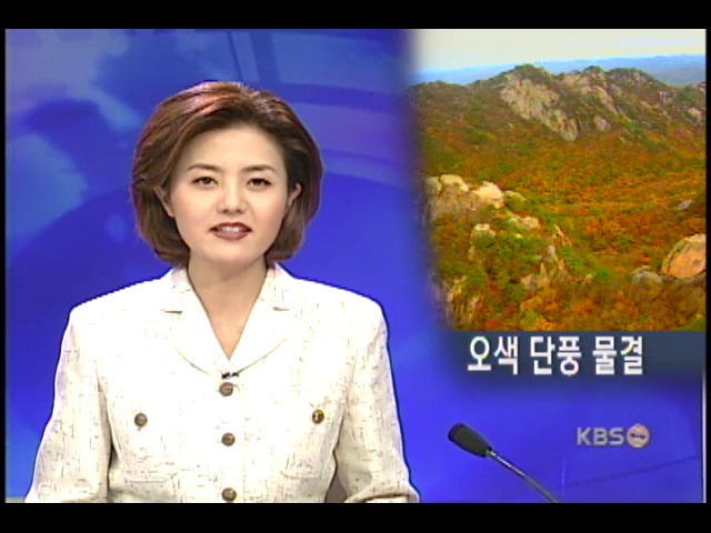 단풍 물결 급속 남하 