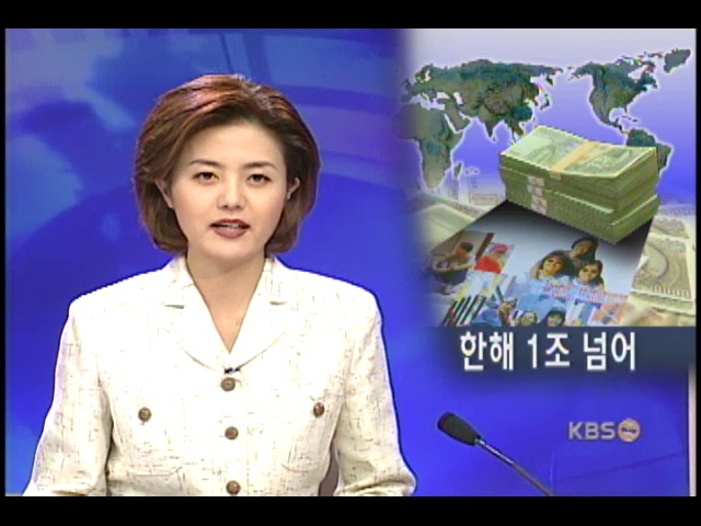 기러기 가족 국부 유출 심각 