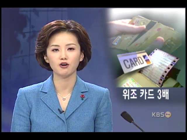 카드 부정사용 3년 새 158% 증가 