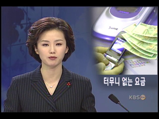 휴대전화 신종 서비스 요금 눈덩이 