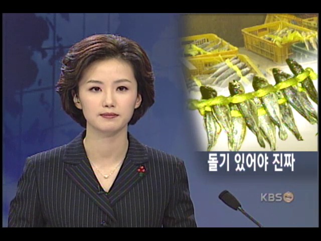 설대목 노린 가짜 국산 생선 기승 