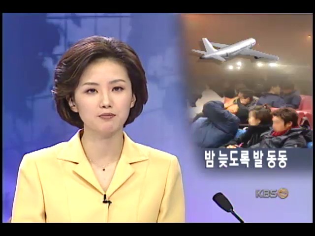 안개로 회항, 기내 대기 불편 극심 
