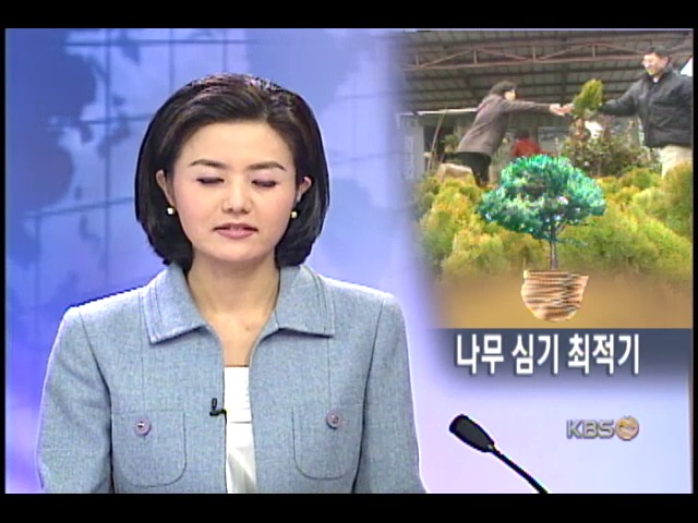 새 봄 맞이 나무 축제 