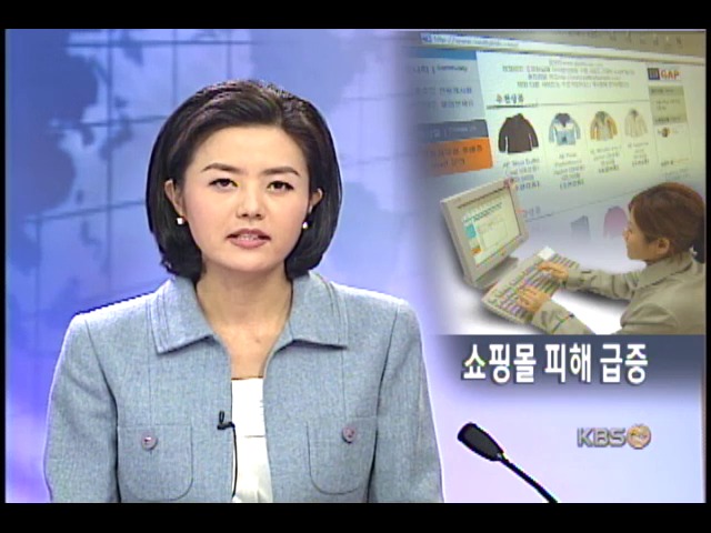 인터넷 쇼핑 사기 급증 속수무책 
