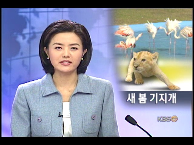 동물들의 이른 봄 나들이 
