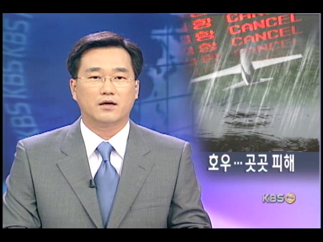 항공편 결항.도로 침수 등 호우 피해 