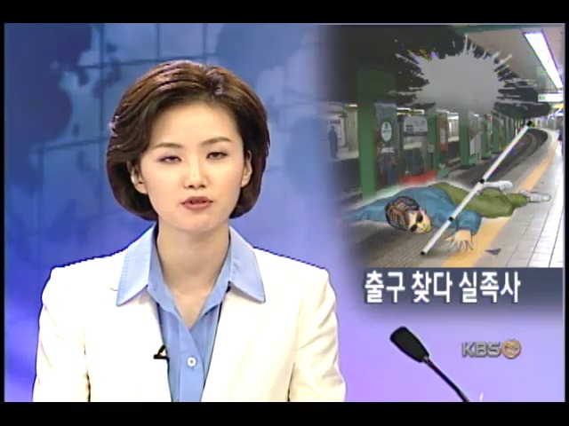 시각장애인 실족, 전동차에 치여 사망 