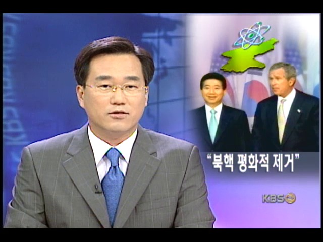 한미 동맹 확인.북핵 평화해결 