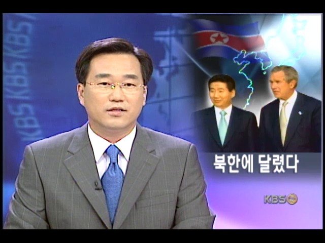한미 정상회담의 성과와 과제 